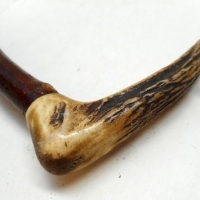 Walking stick made from Hawthorn with horn handle - Sold for $55 - 2016