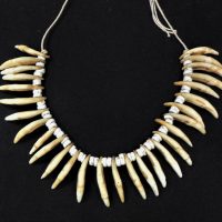 Vintage-American-Indian-coyote-tooth-necklace-Sold-for-137-2021