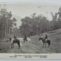 c1900s-postcard-THE-KELLY-GANG-Steve-Hart-Dan-Kelly-Ned-Kelly-on-horseback-railway-line-bush-scene-Sold-for-112-2021