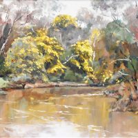 Framed-JUDITH-M-PERREY-1927-2016-Oil-Painting-WATTLE-by-the-YARRA-Signed-Dated-96-lower-left-further-signed-titled-on-MSWPS-Exhibition-Sold-for-75-2021