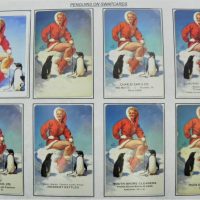 Sheet-of-Pin-Up-Girl-Swap-Cards-Girl-with-Penguins-assorted-advertising-Sold-for-43-2021