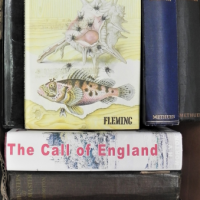 Small-box-lot-Vintage-Modern-Books-1966-1st-Edition-Ian-Flemming-Octopussy-and-The-Living-Daylights-pub-by-Jonathon-Cape-London-w-Dust-Jacket-Sold-for-43-2021