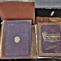 Vintage-2-vol-set-Hc-Old-Books-Victoria-and-its-Metropolis-sets-1888-edition-with-engraved-plates-very-poor-condition-Sold-for-75-2021