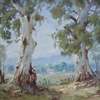 Frank-Mutsaers-1920-2005-Framed-Oil-painting-White-Gums-Coldstream-Signed-lower-left-titled-verso-395x445cm-Sold-for-161-2021