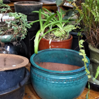 Large-group-lot-glazed-terracotta-garden-pots-saucers-some-with-plants-various-sizes-Sold-for-99-2021