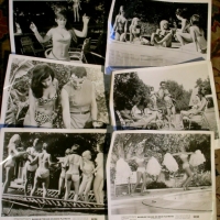 Grp lot 1964 black & white MOVIE STILLS - Bachelor Tom and his Bikini Playmates - Sold for $55 - 2012