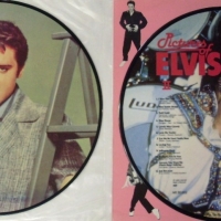 2 x Vintage ELVIS PICTURE disk LP's - 'Troubles' + 'Pictures of Elvis' inc - Hard Headed Woman, I Need You So, Tutti Frutti, Love Me Tender etc - Sold for $98 - 2012