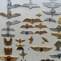 Sheet of military, police & other badges - approx 35 badges - Sold for $116 - 2015