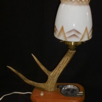 Vintage Stag horn lamp with Deco shade - Sold for $37 - 2016