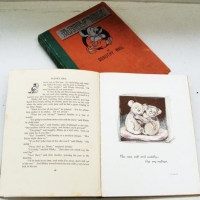 2 x vintage 'Blink Bill - Dorothy Wall' hc books incl 1st edit (1933) The Quaint Little Australian and The Complete Adventures of Blinky Bill - Sold for $43 - 2016