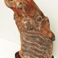 Clay horse head on wooden stand - Purchased in Hong Kong 1950s - approx h 27cm - Sold for $37 - 2016