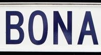 Aluminum 2 sided street sign - BONA ST - Sold for $43 - 2016