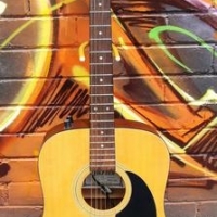 c1994 CRAFTER Sung-Eum Music Co ELECTRIC ACOUSTIC Guitar - Model Number MD-20 MATE - Fab Cond - Sold for $112 - 2016