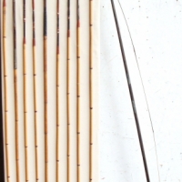 Collection of tribal Papuan arrows and black palm bow - mounted on board - Sold for $50 - 2016