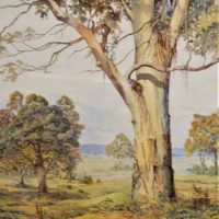 Large Gilt Framed ALFRED COLLINS (Australian, Active c191030's) Watercolour - THE MIGHTY GUM - Signed lower left - 435x36cm - Sold for $211 - 2019