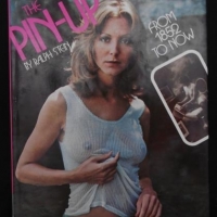 HC book - 'The Pin-Up From 1852 to Now' - Ralph Stein, Pub Hamlyn Group 1974 - with dust jacket - Sold for $37