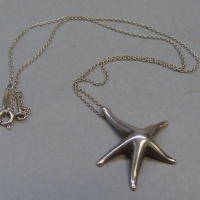 Tiffany ''Elsa Peretti'' silver Starfish Pendant on chain - Sold for $87 - 2017