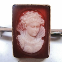 c1910 9ct rose gold Cameo Brooch - square shape featuring portrait Elizabethan lady - Sold for $75 - 2017