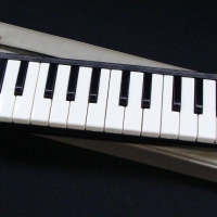 Vintage Honer Melodica piano 26 - Sold for $35 - 2017