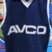 c197080s VFL Carlton FC - 'AVCO' - sleeveless training top - Sold for $31 - 2017