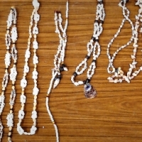 A Collection of jewellery - Papua New Guinea - Shells, nuts, plastic, etc - Sold for $25 - 2018