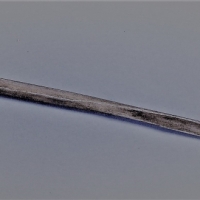 Central Australian Kurdaitcha bone pointing stick  - Kangaroo fibula - Sold for $87 - 2018