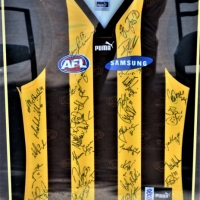 Large presentation framed 2001 AFL Hawthorn Football  Club team signed jumper - Sold for $106 - 2018
