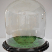 large Glass Dome on black japanned base 28cm in diameter - Sold for $298 - 2018