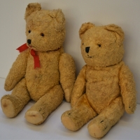 2 x 1950's jointed Polish Teddy Bears - pale gold plush, fabric pads, straw filled with stitched noses, approx 36cm L - Sold for $25 - 2018