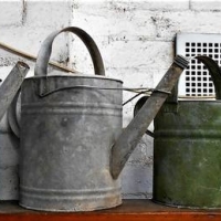 3 x Vintage metal watering cans inc - 2 x WILLOW cans - Sold for $43 - 2018