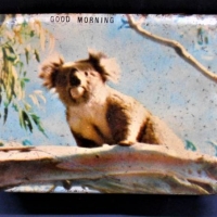 1950s Tin by Sunrise Confections Prahran - with image of a Koala, titled 'Good Morning' - Sold for $31 - 2018