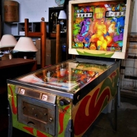 1960s Wild Life Pinball Machine By Gottlieb, D & Co USA-  lights up - Sold for $497 - 2018