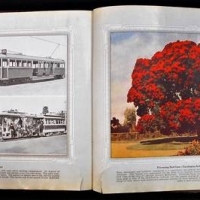HC book Souvenir commemorating the first centennial of marvellous Melbourne, the garden city of the South - Sold for $75 - 2018