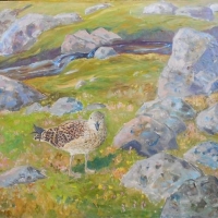 Large WILLIAM GISLANDER ( Sweden 1890-1937) Oil on Canvas - COASTAL BIRD & ISLAND LANDSCAPE - Signed lower left - 795x995cm - Sold for $124 - 2018