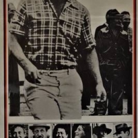 Vintage Daybill Australian movie poster - c1975 Sunday Too Far Away - Publ MAPS Litho PL, 755cm x 335cm - Sold for $35 - 2018