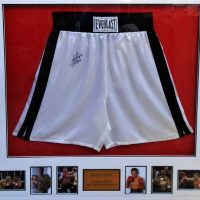 Framed Signed Kostya Tszyu super lightweight champion of the world boxing shorts - Sold for $124 - 2019