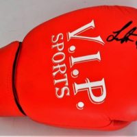 Signed Lester Ellis VIP sports boxing glove left hand - Sold for $37 - 2019