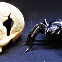 2 x Items cast iron skull and Cast spider figurine - Sold for $31 - 2019