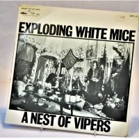 Exploding White Mice Vinyl LP  A Nest of Vipers 1985 Greasy Pop Records with special thanks to Radio Birdman - Sold for $31 - 2019