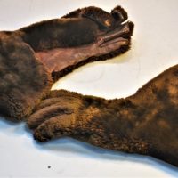 Pair-Vintage-BEAVER-FUR-Gloves-Fur-lined-soft-leather-palms-etc-Sold-for-68-2019