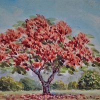 Framed-watercolour-HERBERT-CLARKE-SIMPSON-1879-1966-Flame-Tree-14cm-x-21cm-Sold-for-37-2019