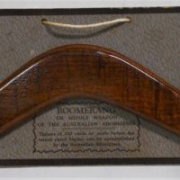 Small-mounted-1930s-Fiddleback-Blackwood-BOOMERANG-w-Educational-text-to-mount-approx-205cm-L-Sold-for-43-2019