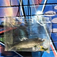 c1984-Avant-De-Dormir-Milan-clear-PVC-TROUT-tote-bag-contains-Trout-ice-cubes-lemon-parsley-Sold-for-37-2019