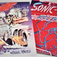 2-Vinyl-records-THE-BIRTHDAY-PARTY-Junk-Yard-and-SONIC-YOUTH-Kill-Your-Idols-Sold-for-35-2019