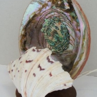 Vintage shell lamp with abalone reflector - Sold for $25 - 2016
