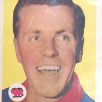 1965 SCANLEN'S Football CARD - TED WHITTEN - Sold for $134 - 2008