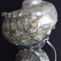 Carved SHELL LAMP with Galleon and Sea Birds, Mounted on other smaller shell, Natural Iridescence - Sold for $61 - 2008