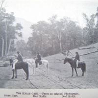 Vintage postcard  - THE KELLY GANG - featuring Steve Hart, Dan & Ned Kelly on Horseback - Sold for $232 - 2009