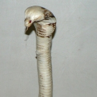 Taxidermy COBRA Snake in Striking Position (af) - Sold for $61 - 2009