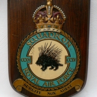 Orig WW2 hp squadron plaque for 215th Night Bomber squadron - Applied cast metal crown to top - hp Porcupine emblem to center - Mounted to wooden shie - Sold for $122 - 2009